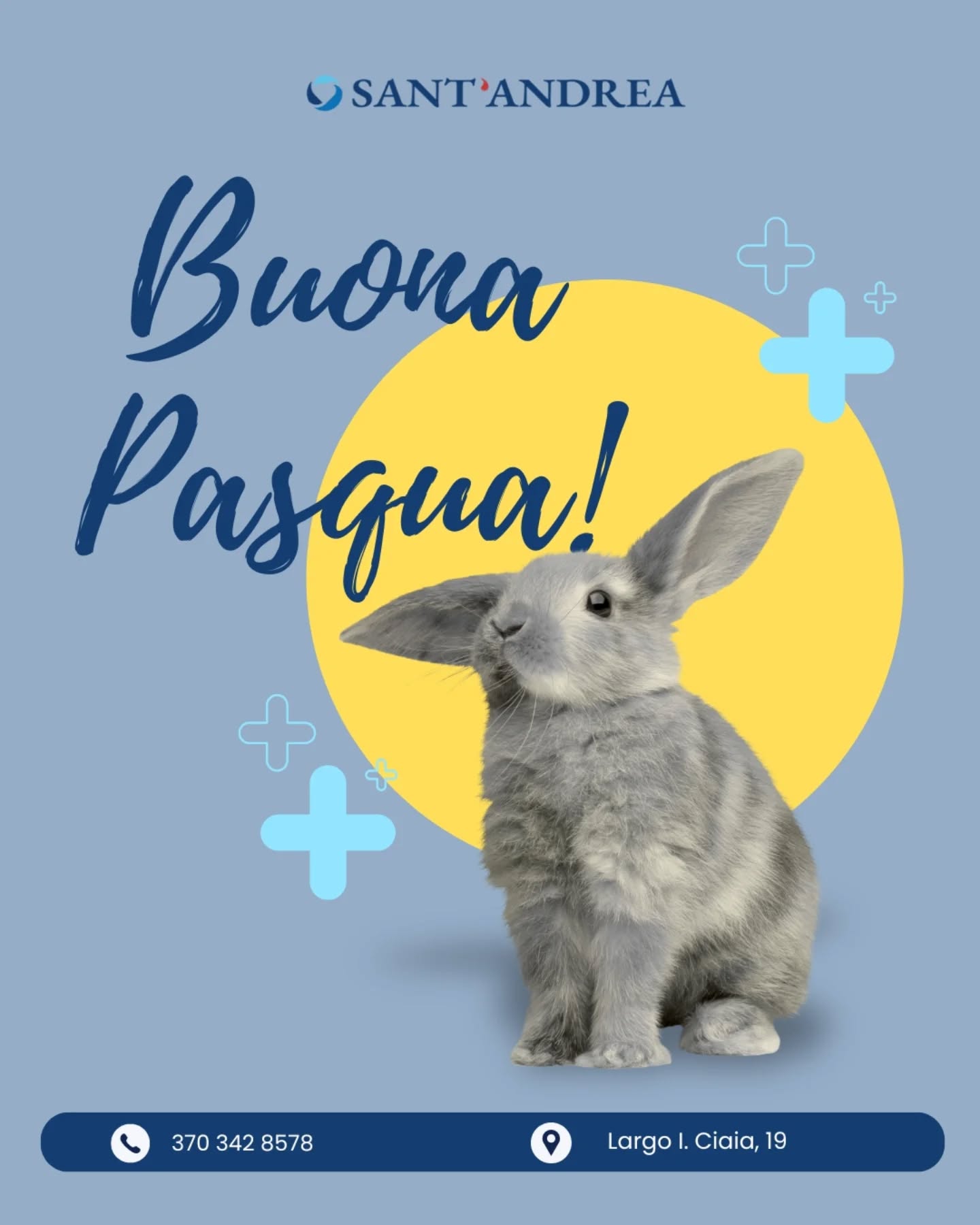 Buona Pasqua dal Team Sant'Andrea! 🩵
